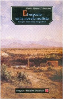 El espacio en la novela realista book cover