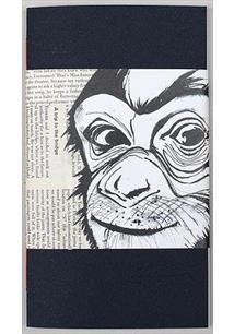 A órbita de King Kong book cover