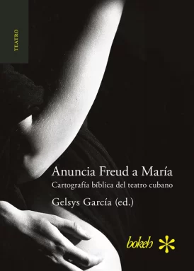 Anuncia Freud a María book cover